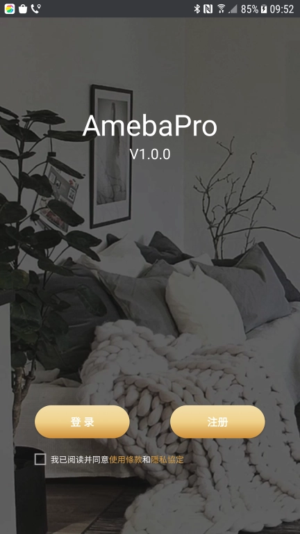 AmebaPro