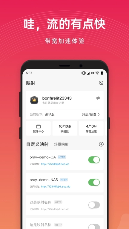 贝锐花生壳管理-动态域名解析管理