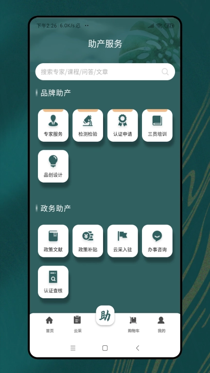 福菇宝