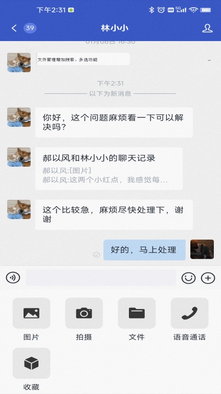 小马