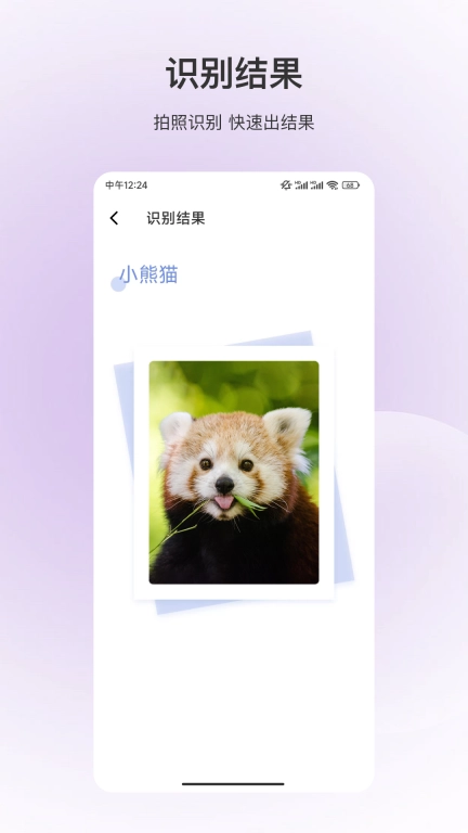 百科全书