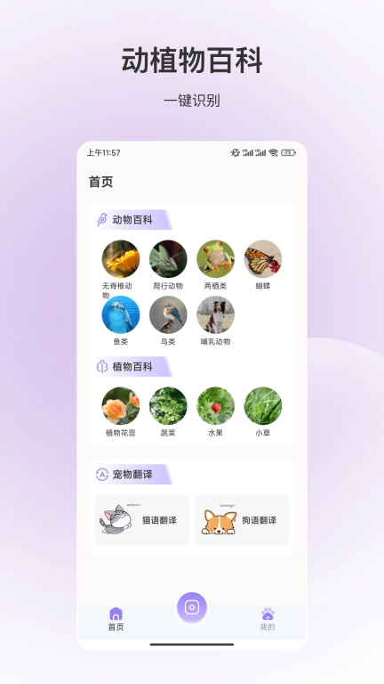 百科全书