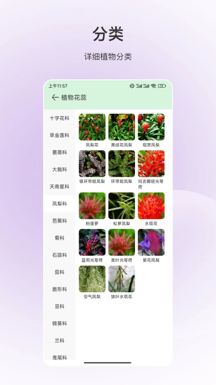 百科全书