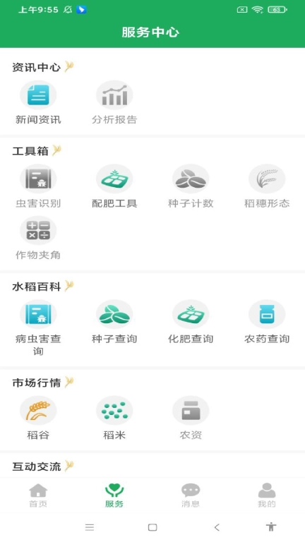 知稻