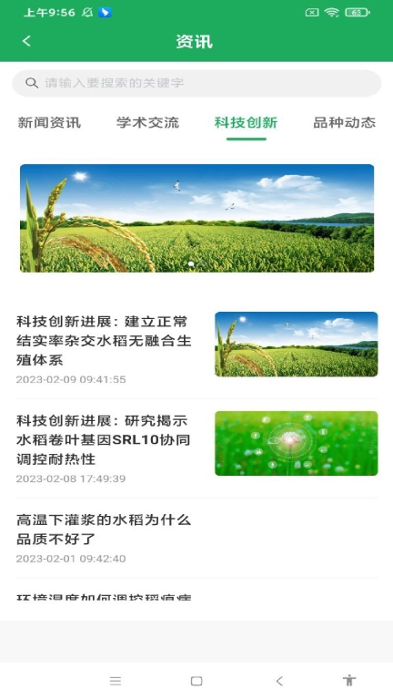 知稻