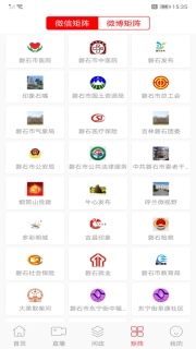 掌心磐石