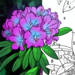 画画小达人