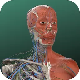 万康人体解剖-3D解剖