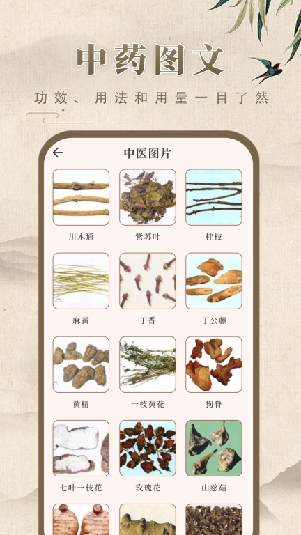 中药学-中药博小助