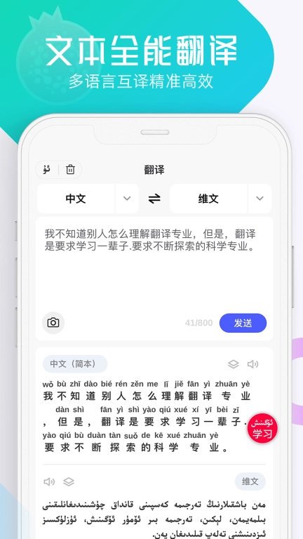 石榴籽翻译