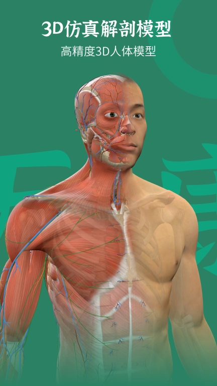 万康人体解剖-3D解剖
