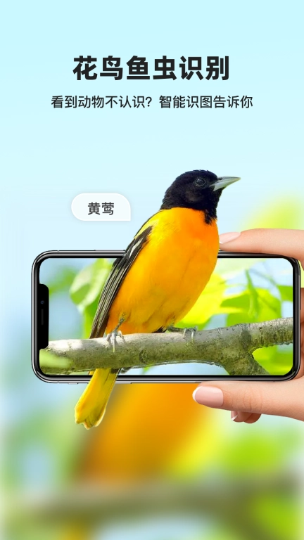 凤灵智能识图