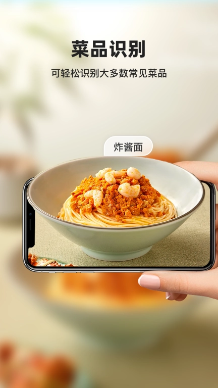 凤灵智能识图