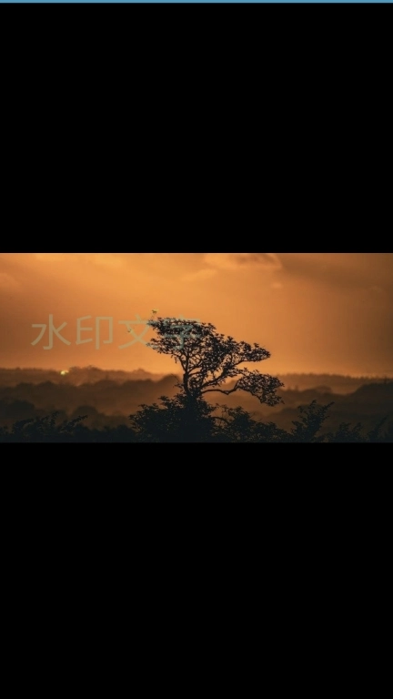批量图片水印-图片去水印专家