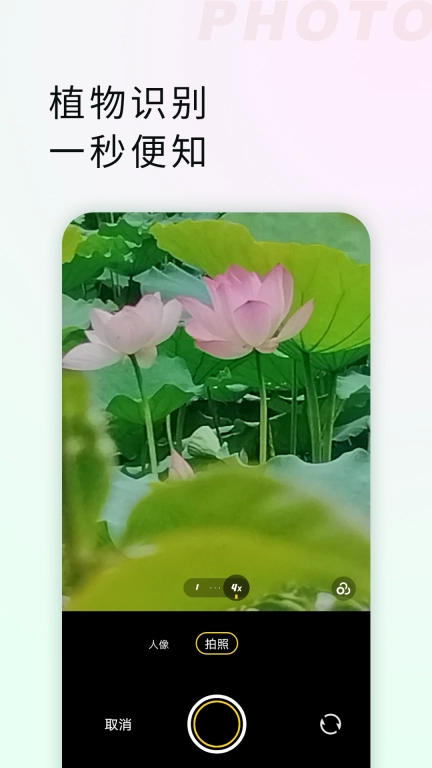 拍照识物全能王-植物昆虫识别