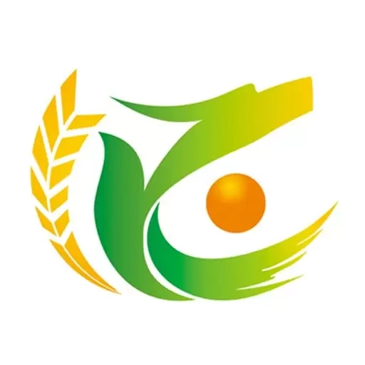 小肥龙