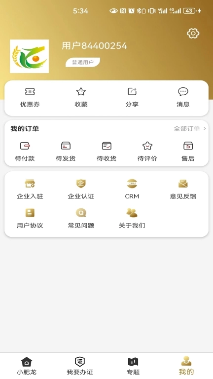 小肥龙