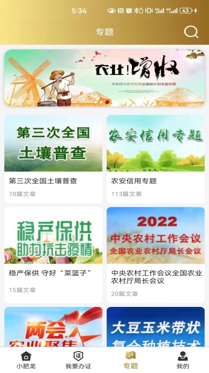 小肥龙