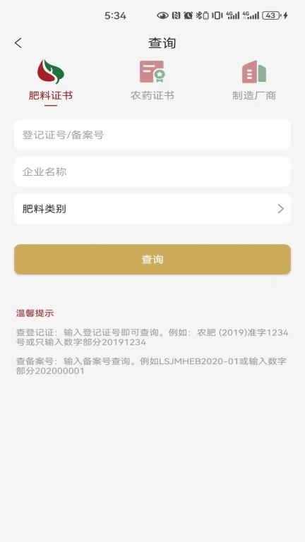 小肥龙