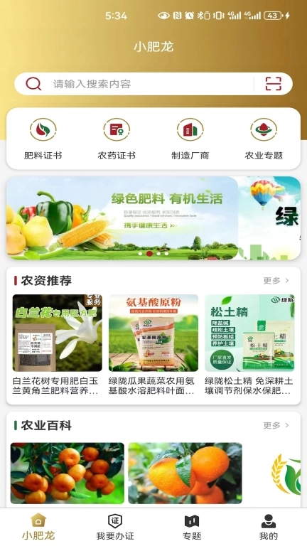 小肥龙