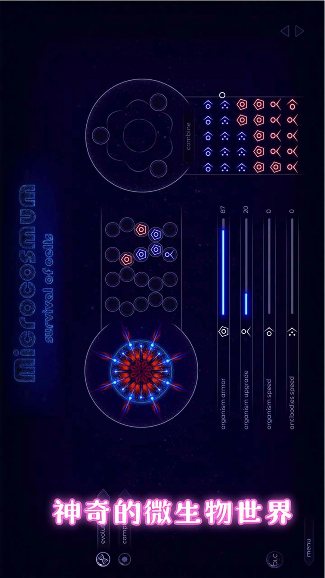 真实世界-微观生物