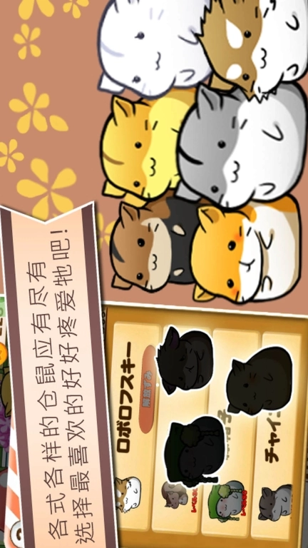 欢乐鼠小弟
