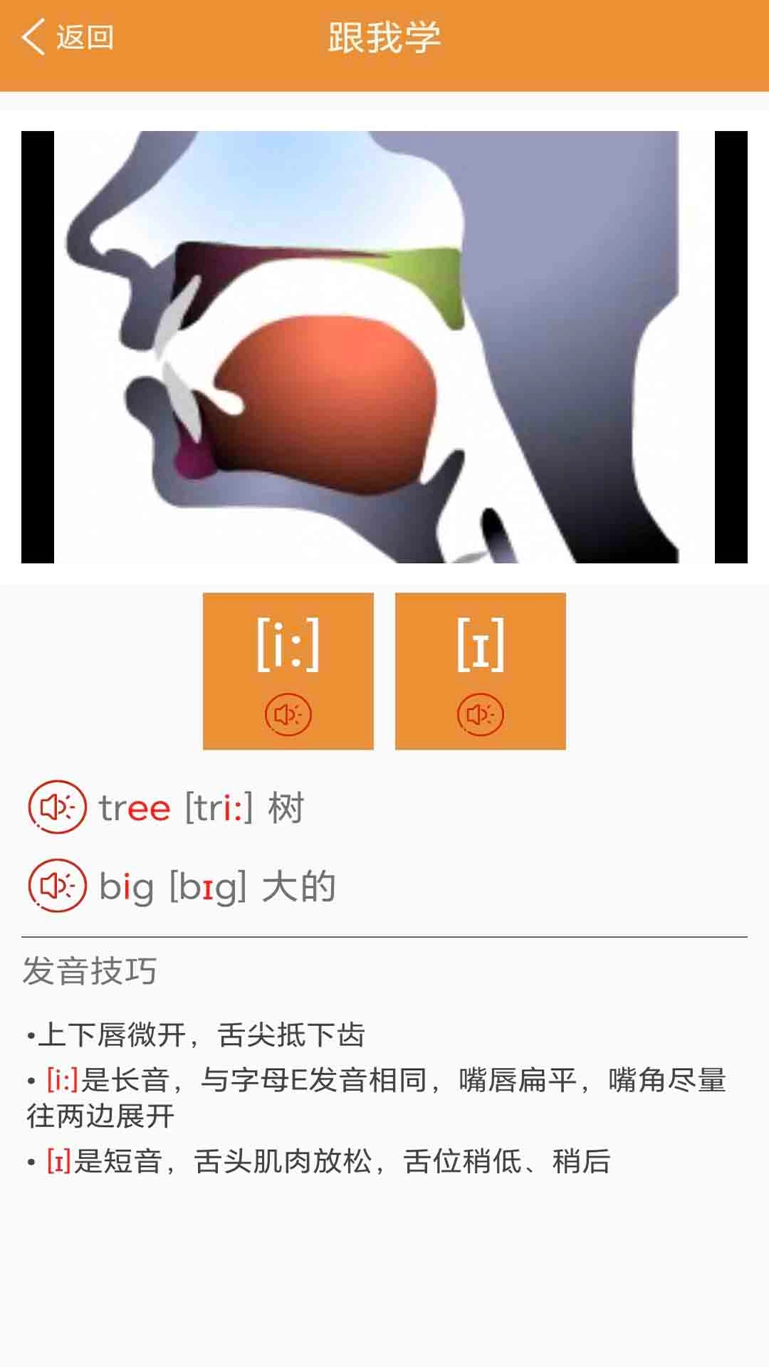 大猫英语国际音标-音标标准教程