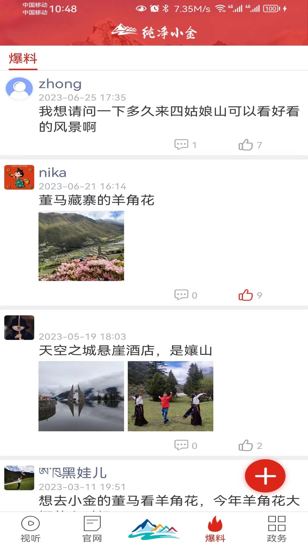 纯净小金