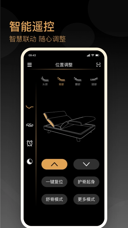 金可儿ibed