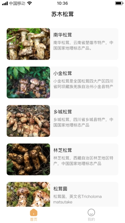 苏木松茸