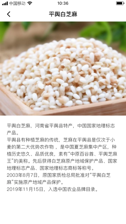 长叶山芝麻