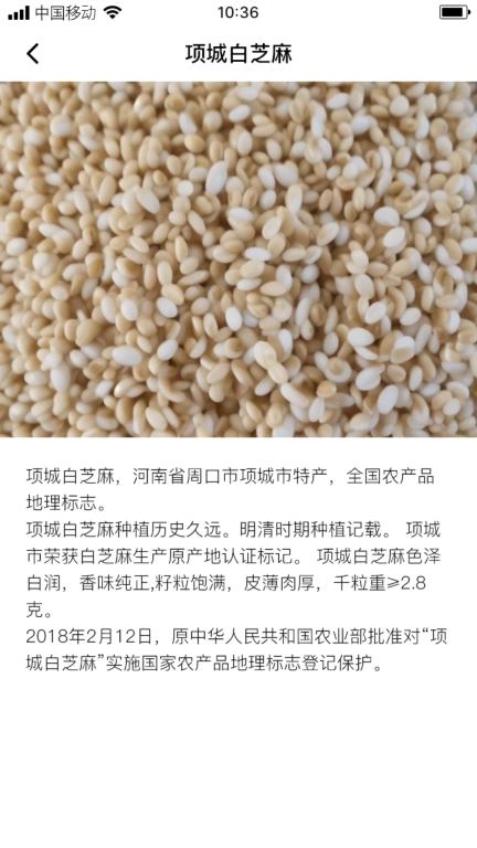 长叶山芝麻