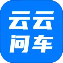 云云问车