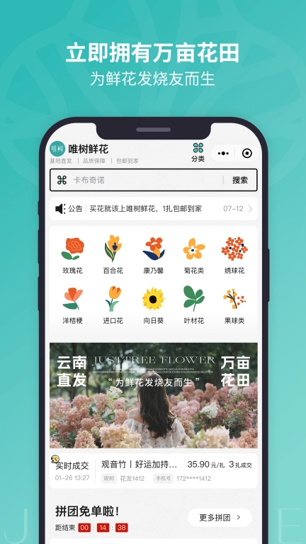 唯树鲜花-JustTree