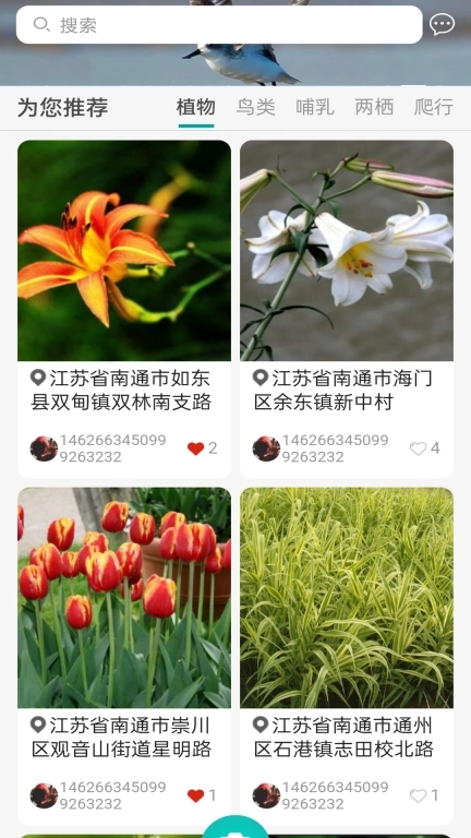 南通生物脸谱