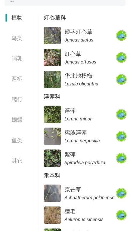 南通生物脸谱