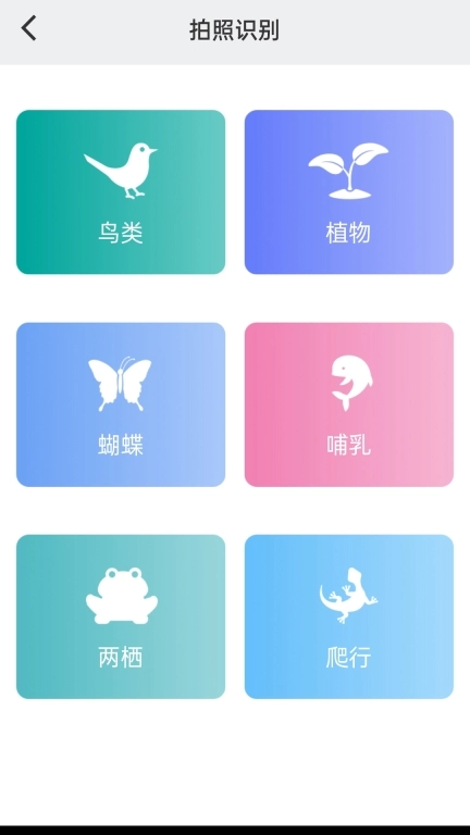 南通生物脸谱