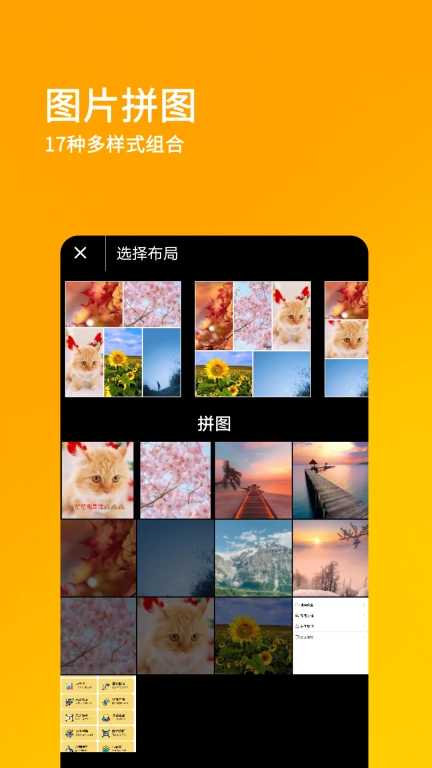 刷圈王