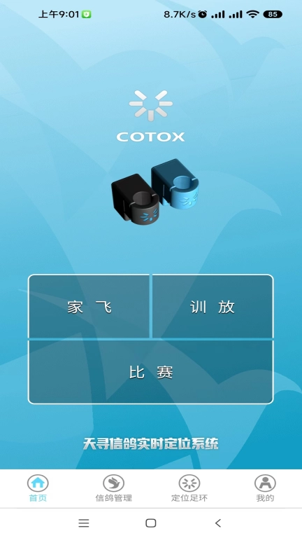 天寻信鸽比赛