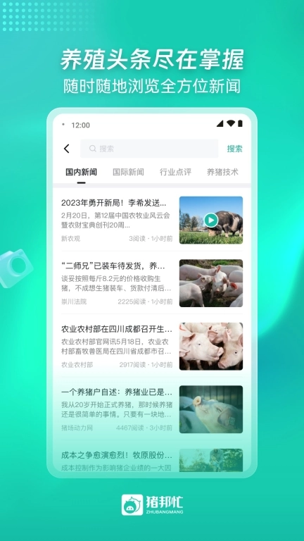 猪邦忙