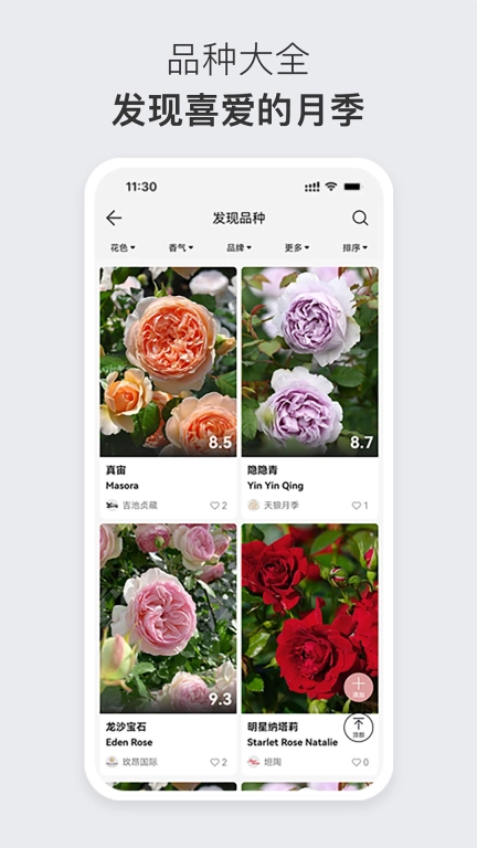 月季之家