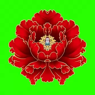 绿植花卉