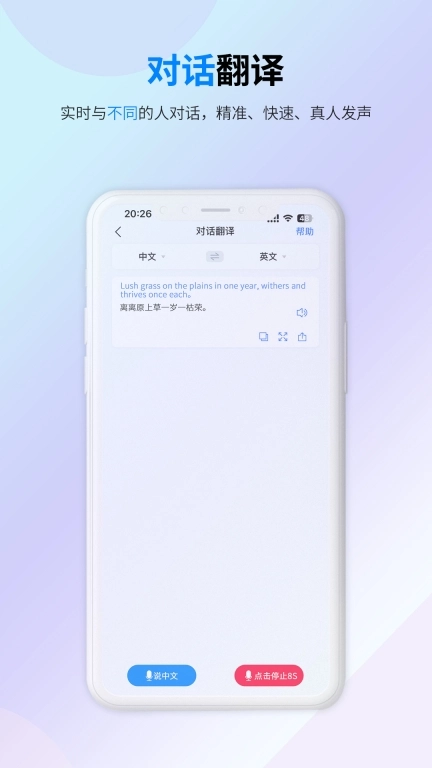 译准翻译官