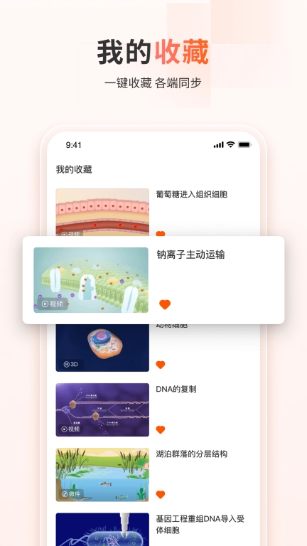 火花学院