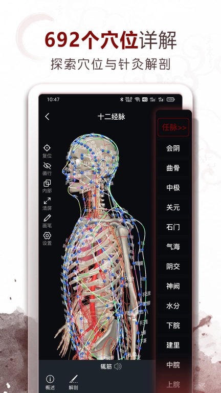 中医经络穴位-3D针灸与中医百科