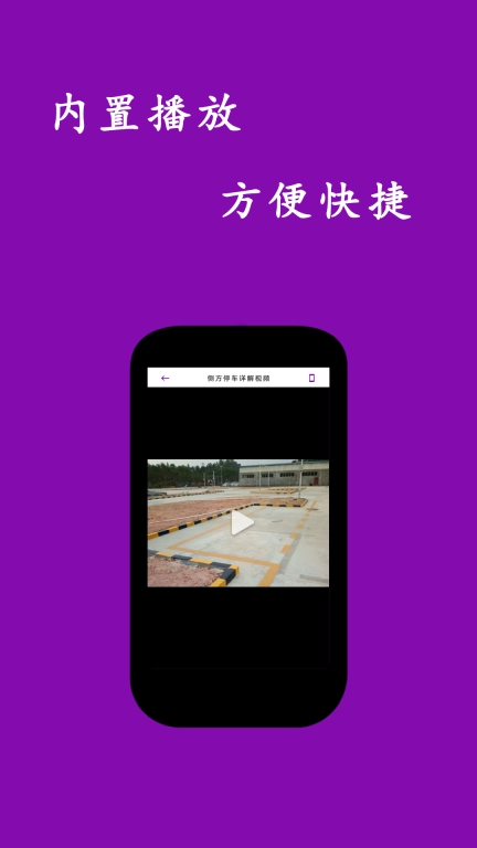 网页视频大师