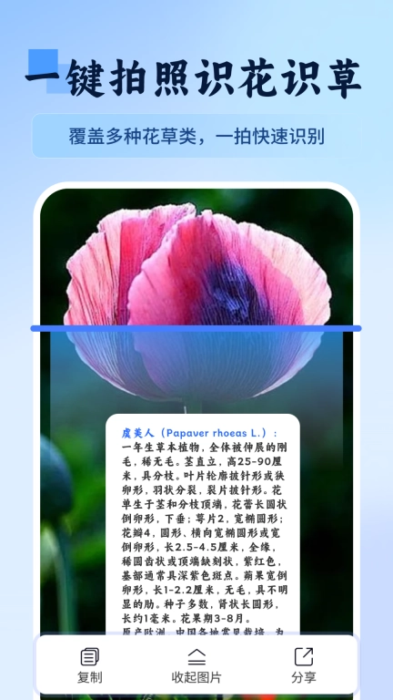 万物识图快拍易识别-一键万能识图