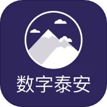 数字泰安