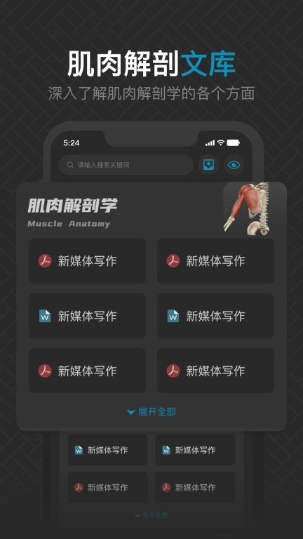 3D肌肉解剖-人体肌肉解剖图谱