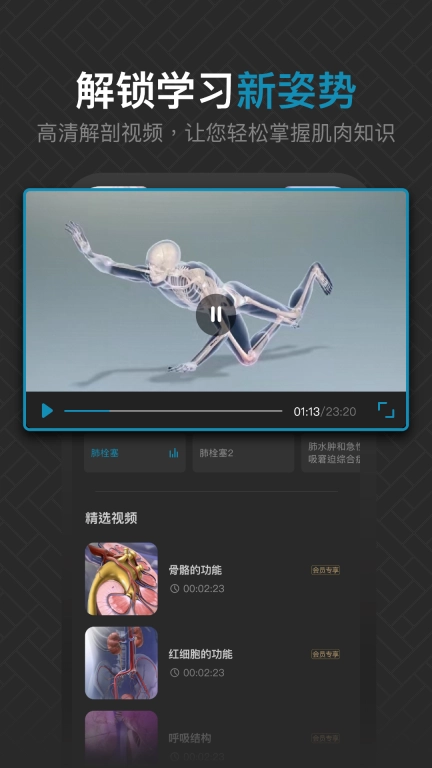 3D肌肉解剖-人体肌肉解剖图谱